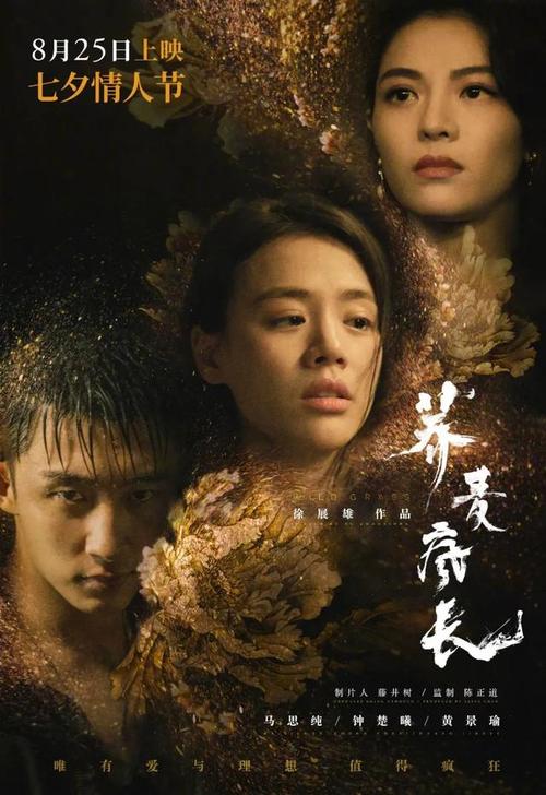 仿制假也门护照
